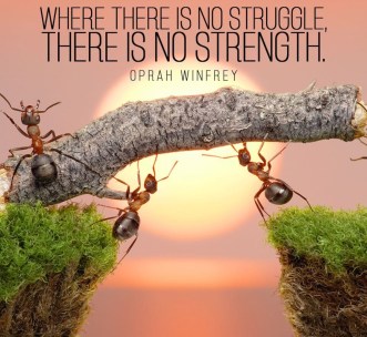no-struggle-no-strength.jpg